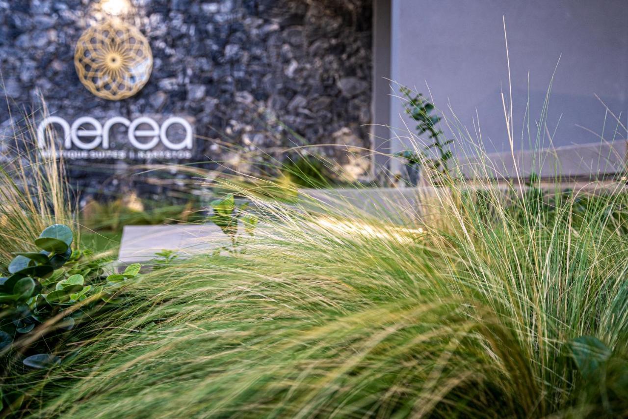 Nerea Boutique Suites Karystos ภายนอก รูปภาพ